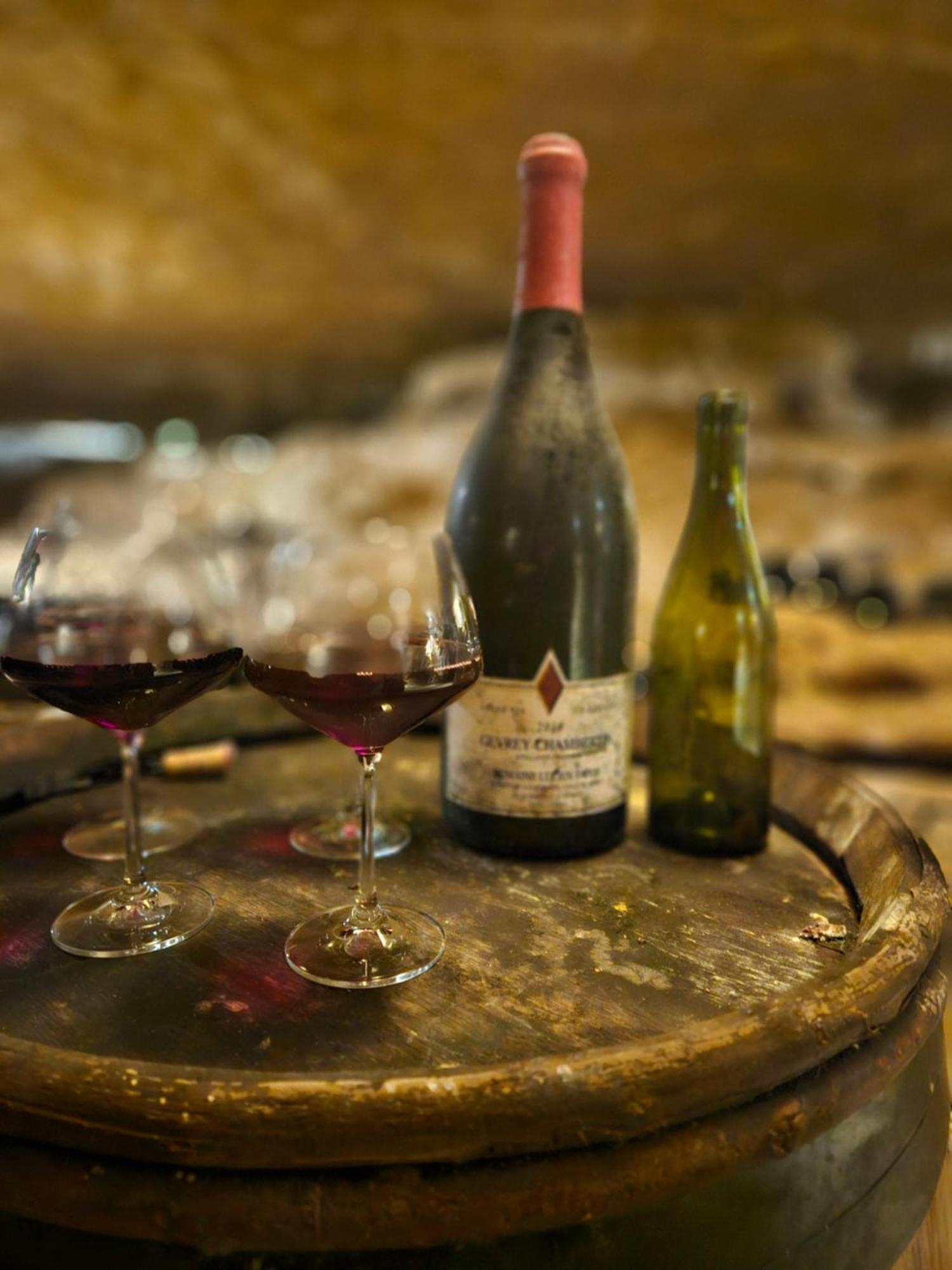 La Terre D'Or Villa Beaune  Eksteriør billede